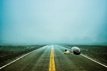 2020 way back, 2020 (digital photo art)