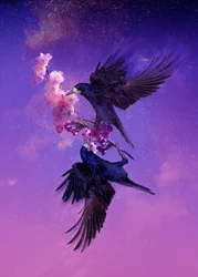 Royaume des oiseaux 5, 2018