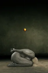 Cacher moi-même, 2013