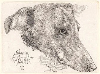 Danois : Hundehoved, Snip
