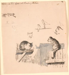Les deux chats. Illustration pour "Fables pour enfants" de Kaalund