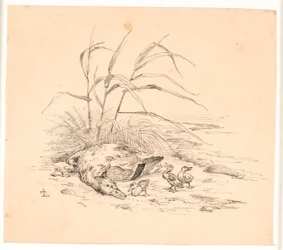 Le canard sauvage tué. Illustration pour "Fabler for Børn" de Kaalund.