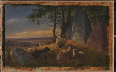 Scène du soir avec des moutons sur un monticule