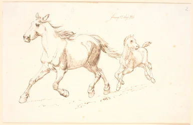Jument galopante avec poulain