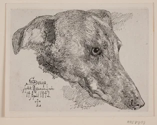 Tête de chien, Snip