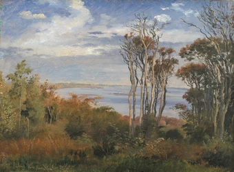 Bois de Kolås, Vejrhøj