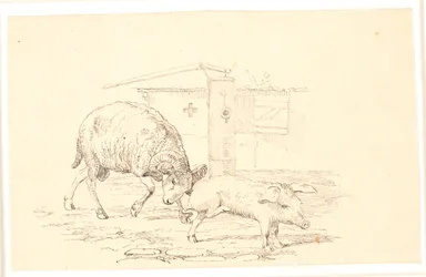 Le bélier et le cochon. Illustration pour "Fables pour enfants" de Kaalund. Voir commentaire du catalogue d