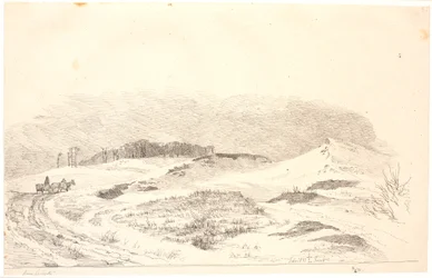 Paysage hivernal typique du nord de la Zélande