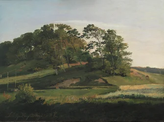 Collines boisées à Sørupvang