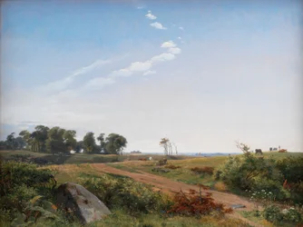 Paysage de Zélande. Campagne ouverte en Zélande du Nord