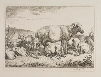 Moutons avec agneaux