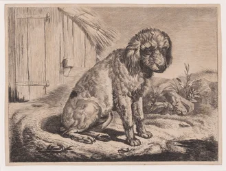 Chien assis