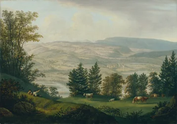 Environs des ruines de Habsbourg