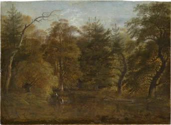Paysage forestier avec un étang