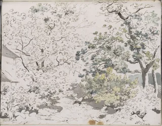 Arbres feuillus sur un sol rocheux, à côté un bâtiment : Hergitz