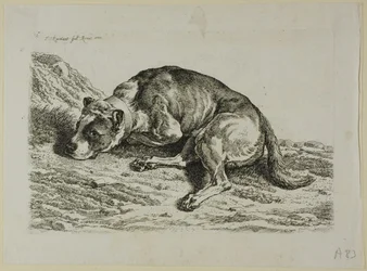 Chien couché, de Die Zweite Thierfolge