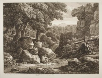 Paysage forestier