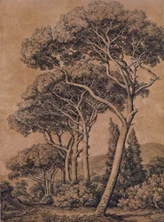 J C Reinhart Pin parasol 1791