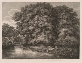 Le moulin aux grands chênes