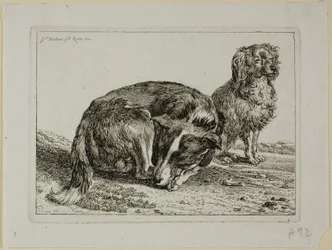 Deux chiens au repos, de Die Zweite Thierfolge