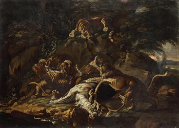 Prédateurs et cerf déchiré