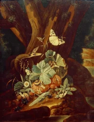 Insectes, escargots et serpent
