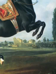 Un cheval noir exécutant la courbette (détail de 65652)