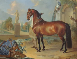 Le cheval bai Sincero