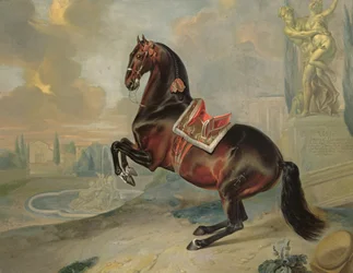Le cheval bai foncé « Valido » exécutant une levade