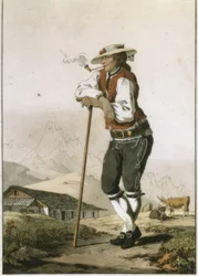 Un paysan du canton d