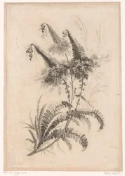Fleurs pointues