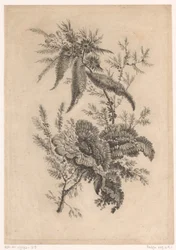 Roses sauvages (Recueil De Nouvelles Fleurs De Goût; Pour la Manufacture des Etoffes de Perse)