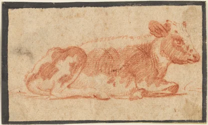 Vache