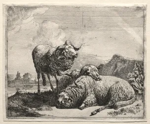 Bélier et deux moutons, 1665