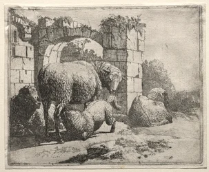 Moutons près des ruines d