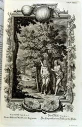 Gravure sur cuivre de 