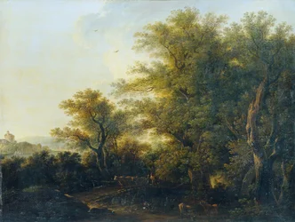 Sortie de la forêt