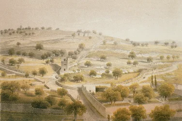 Gethsémani, Mont des Oliviers