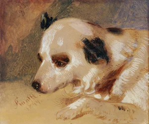 Tête de chien (huile et tempera sur papier)