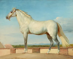 Cheval devant un mur bas