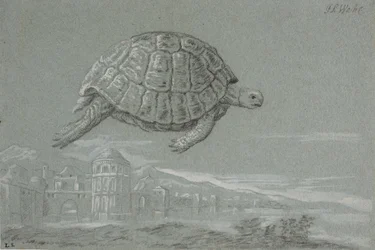 Étude d