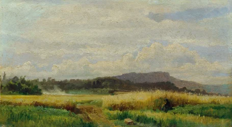 Champ de blé avec vieille femme