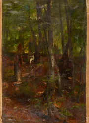 Paysage forestier