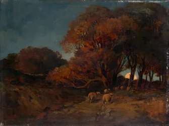 Forêt automnale au clair de lune