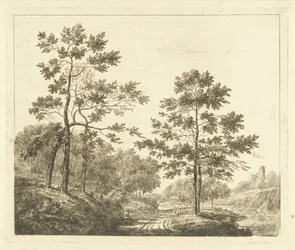 Sentier forestier dans un paysage vallonné
