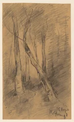 Paysage forestier près de Wolfheze