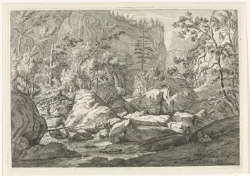 Ravin avec rochers et arbres (Paysages dans le massif de la Chartreuse)