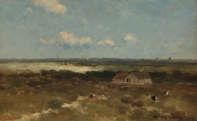 Paysage de dunes