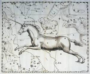 Monocéros, constellation de la Licorne, gravure de l