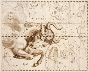 Taureau (signe du zodiaque), gravure de Firmamentum Sobiescianum sive Uranographia